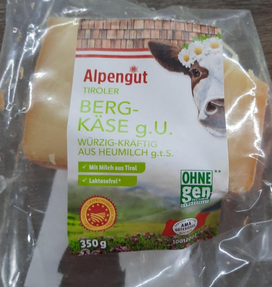 Fotografie - Berg-käse Alpengut