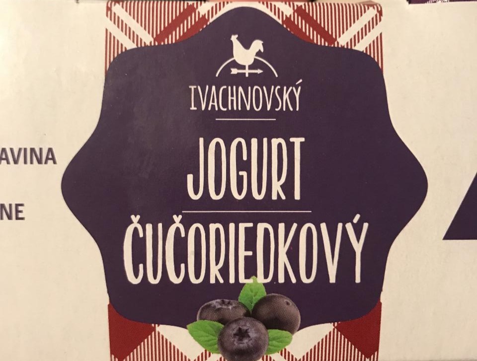 Fotografie - Ivachnovský jogurt čučoriedkový