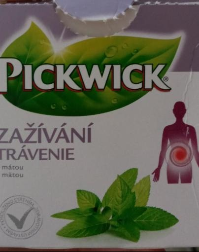 Fotografie - Herbalis zažívání s extra silnou mátou Pickwick