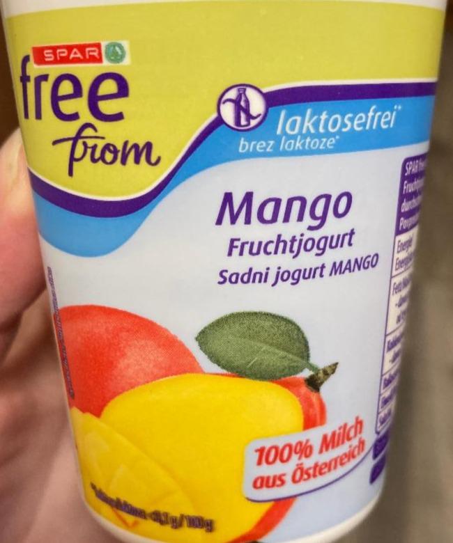 Fotografie - Mango fruchtjogurt Spar