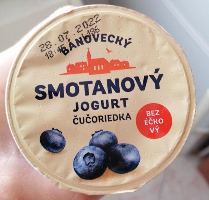 Fotografie - Milsy Smotanový jogurt čučoriedka