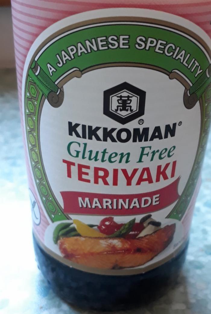 Fotografie - Gluten Free Teriyaki Marinade Kikkoman