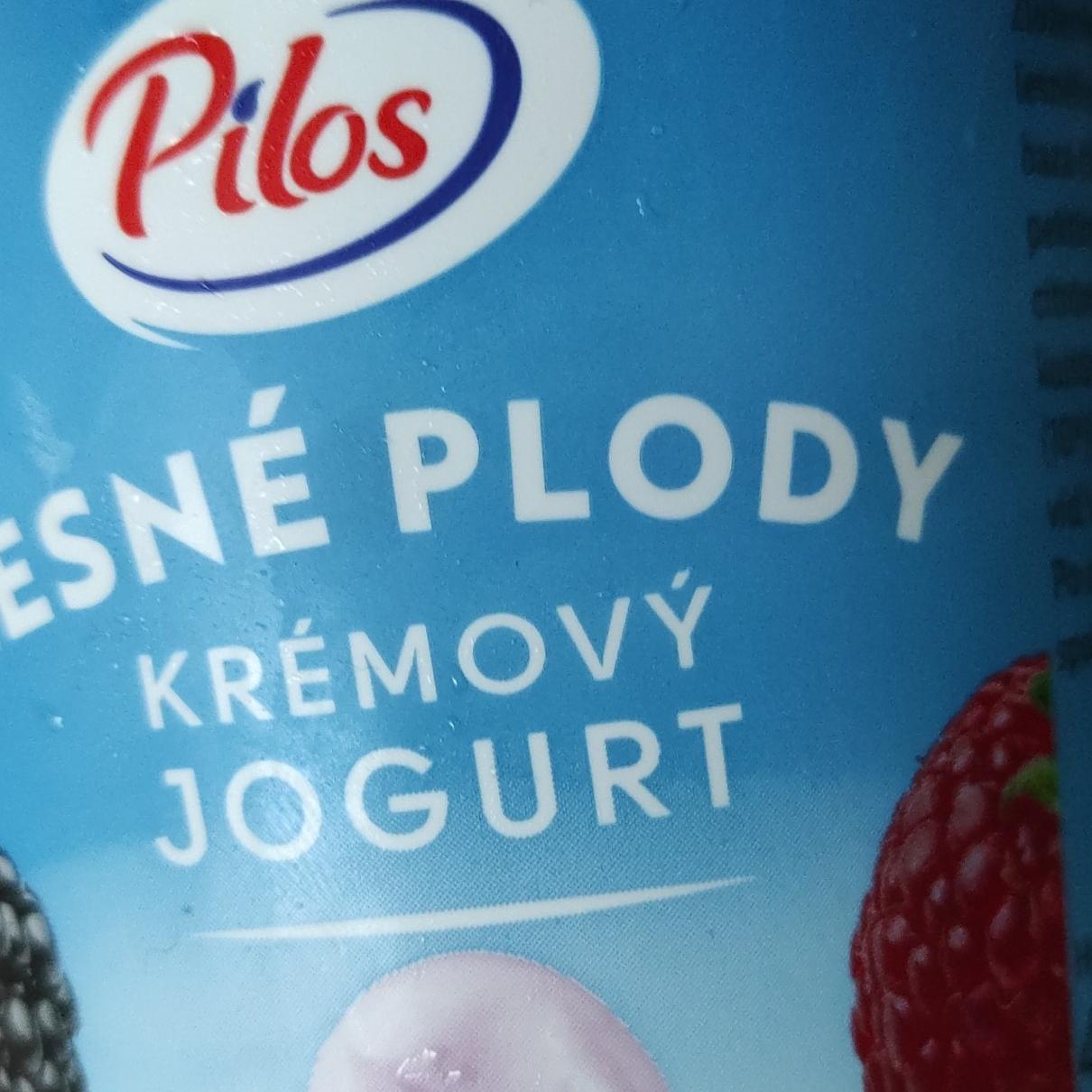 Fotografie - Lesné plody Krémový jogurt Pilos