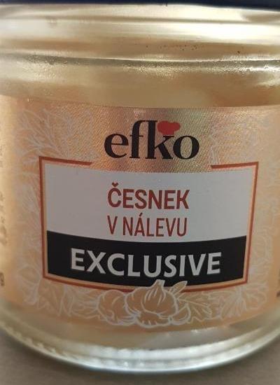 Fotografie - EFKO ČESNEK V NÁLEVU EXCLUSIVE