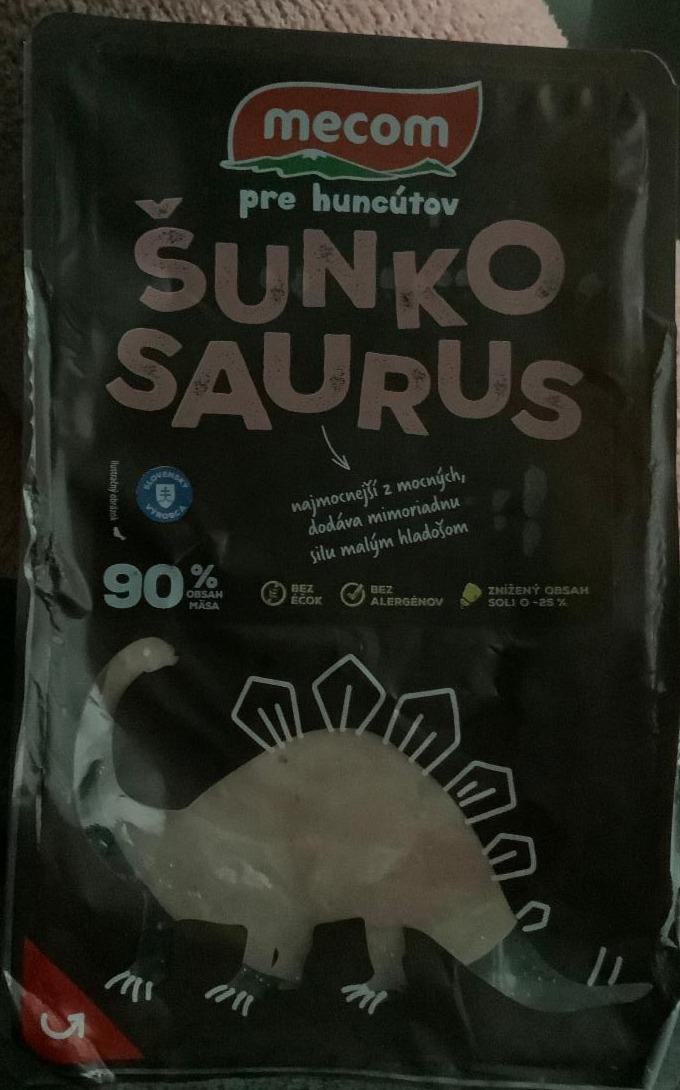 Fotografie - Šunko saurus Mecom