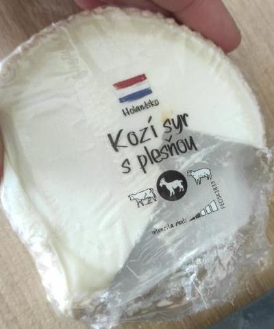 Fotografie - Kozí syr s plesňou Holandsko
