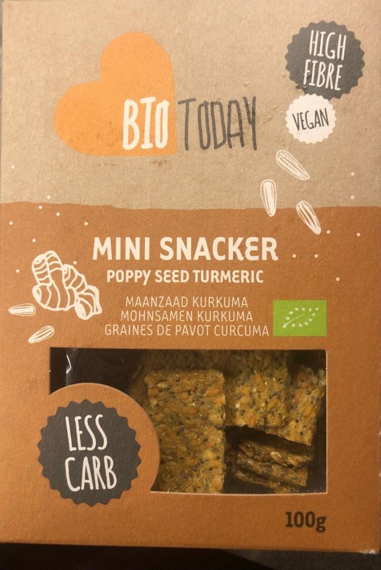 Fotografie - Mini snacker popýtať seed turmeric