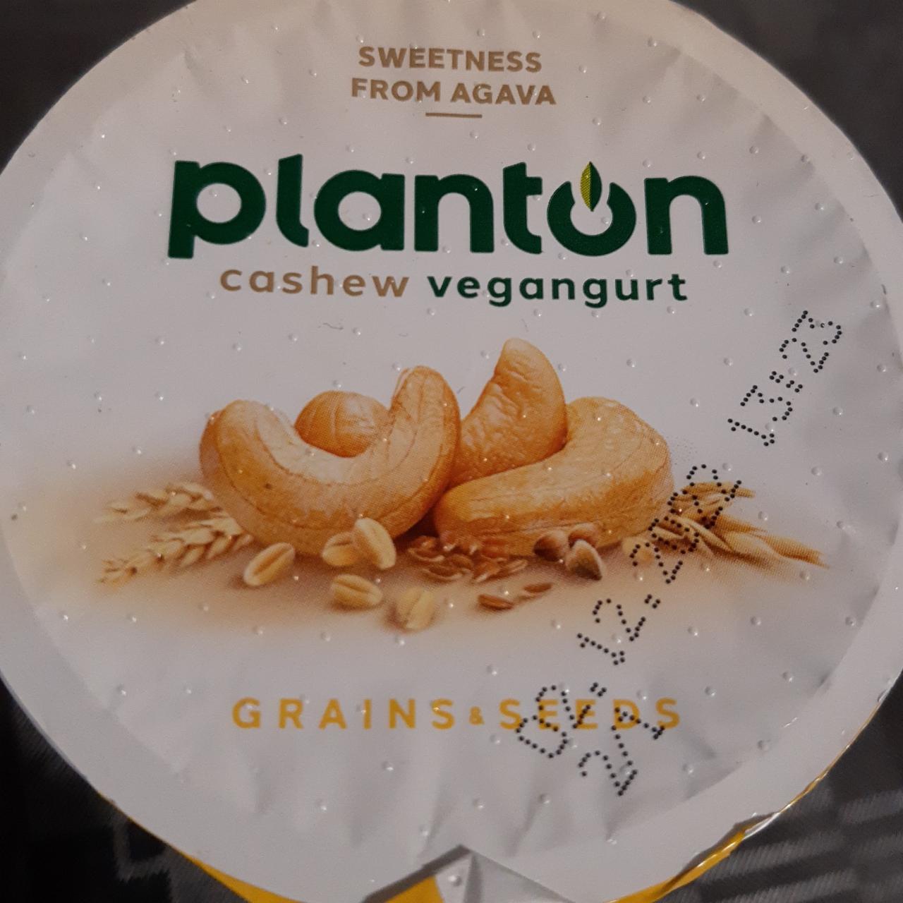 Fotografie - Cashew Vegangurt Grains & Seeds Planton