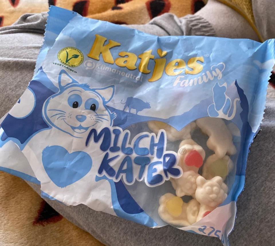 Fotografie - Milch kater Katjes