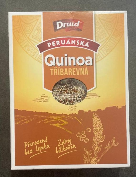Fotografie - quinoa trojfarebná peruánska Druid
