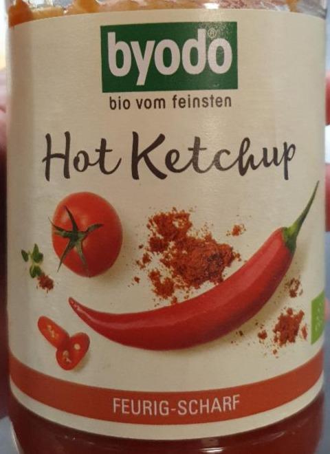 Fotografie - hot ketchup byodo