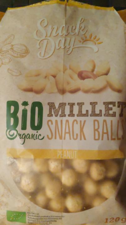 Fotografie - bio organic millet snack balls peanut