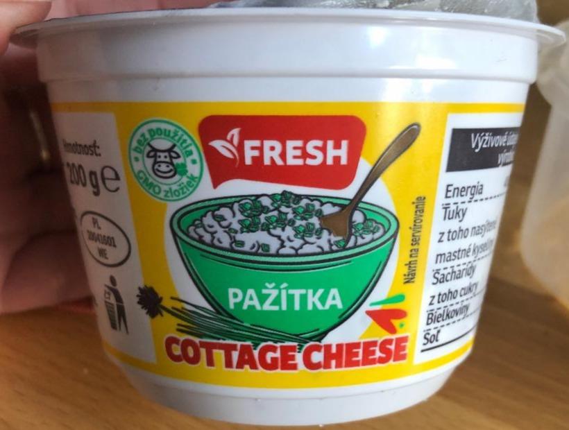 Fotografie - Cottage cheese pažítka Fresh