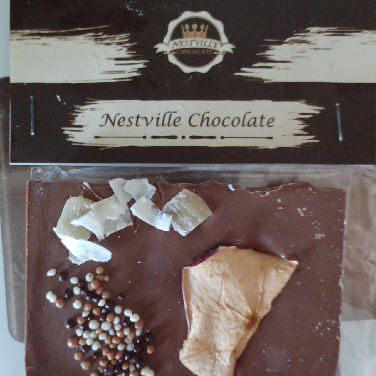 Fotografie - Čokoláda so sušeným ovocím mliečna Nestville chocolate
