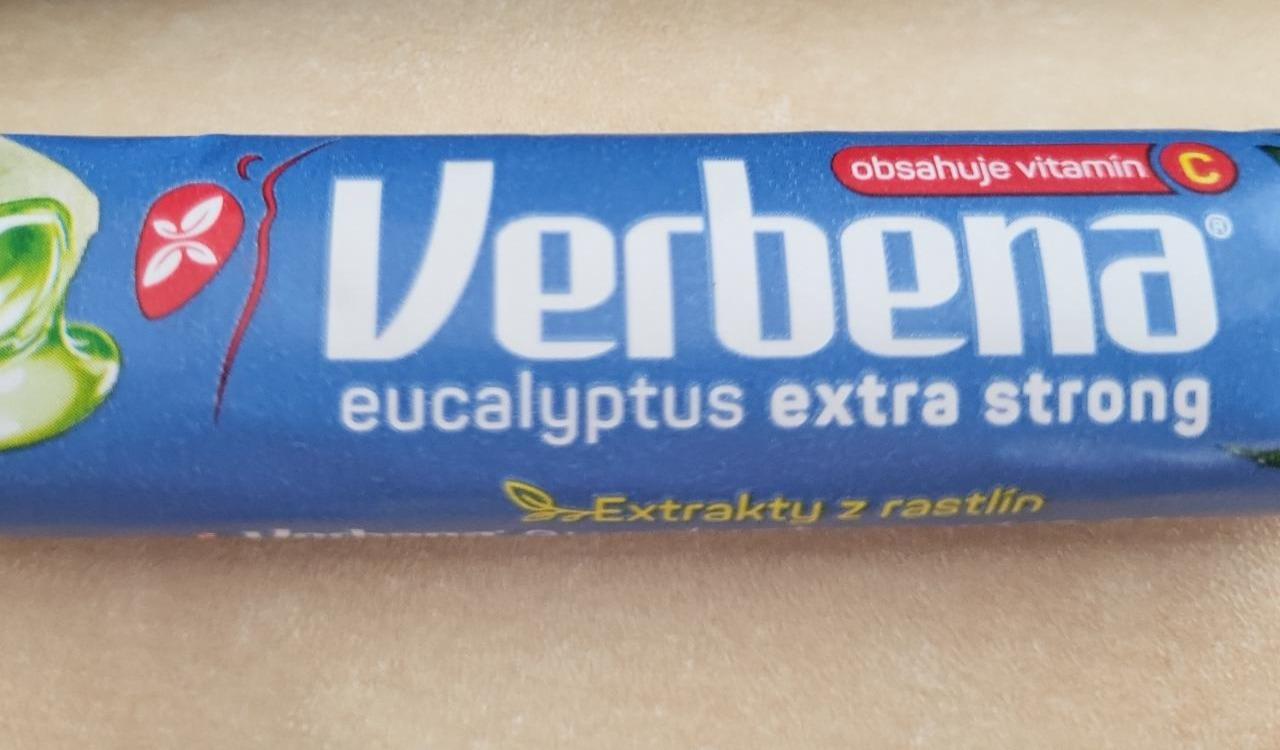 Fotografie - Verbena Eucalyptus extra strong