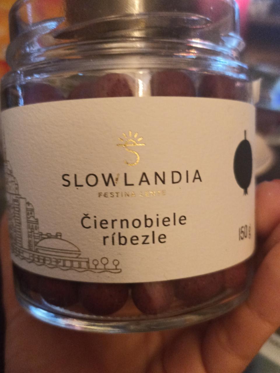 Fotografie - čiernobiele ribezle Slowlandia