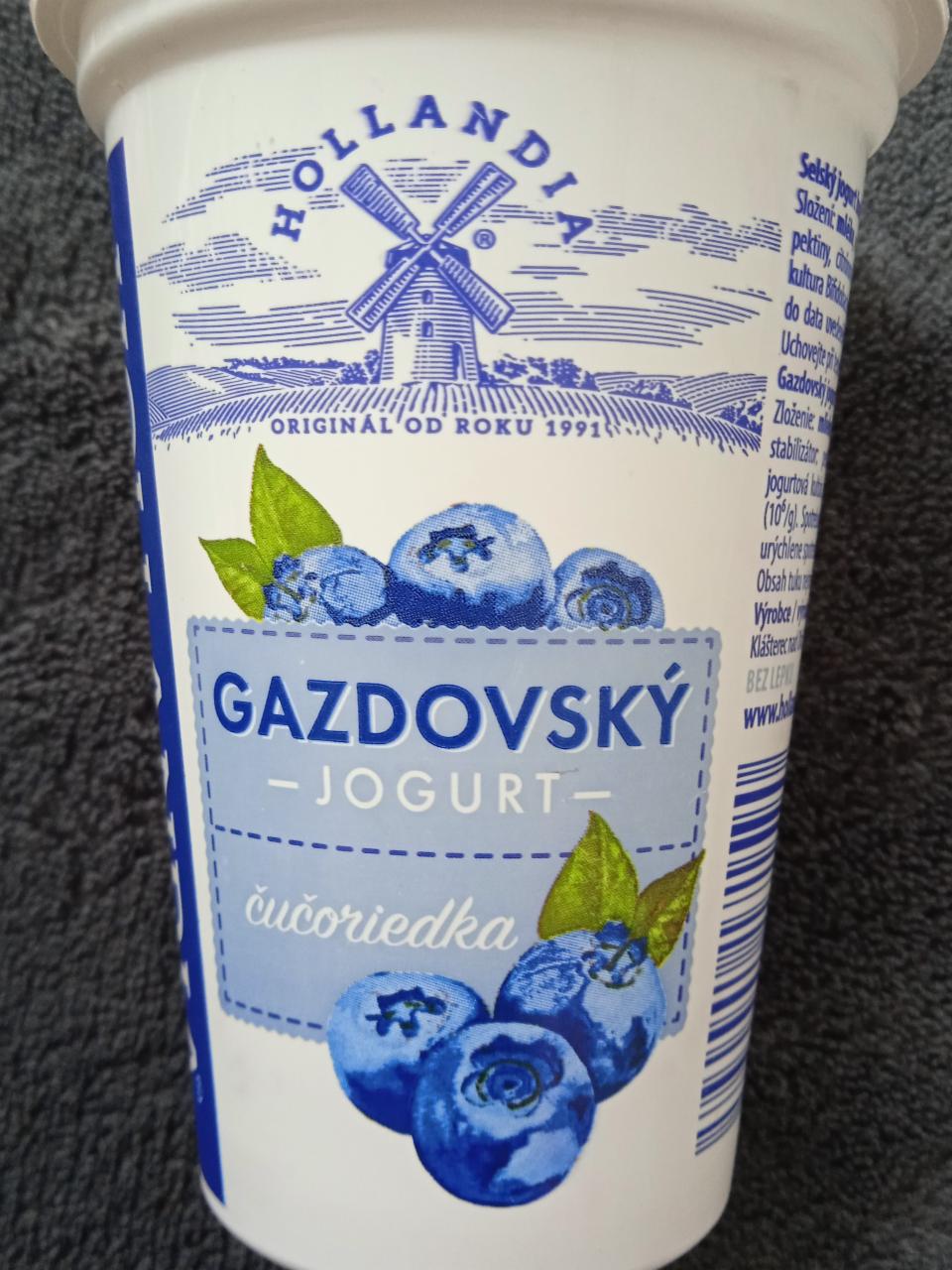 Fotografie - Gazdovský jogurt čučoriedka Hollandia