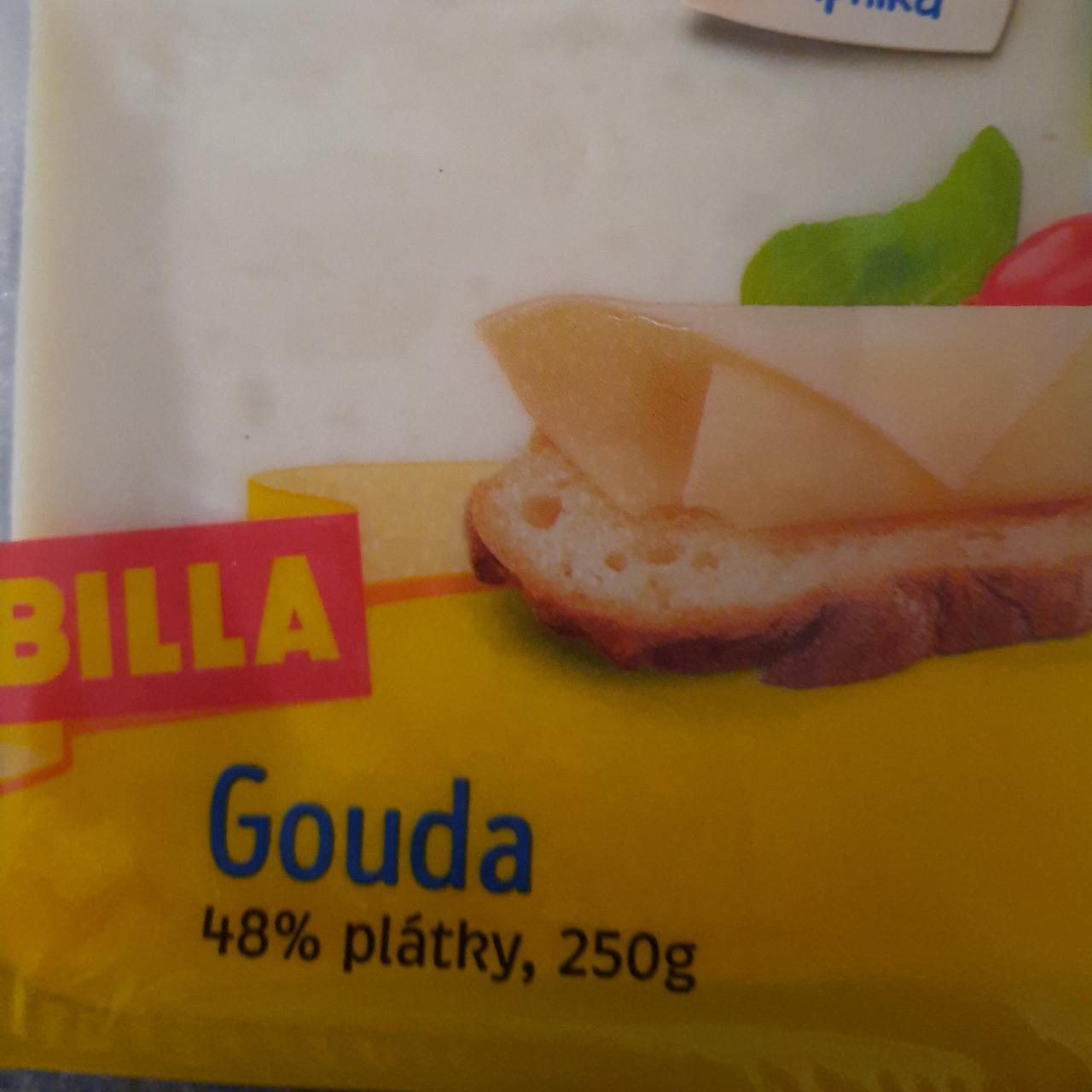 Fotografie - gouda syr 48% Billa