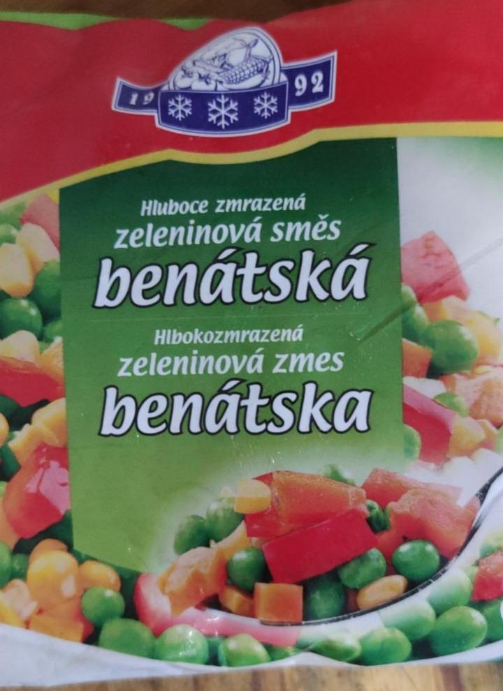 Fotografie - Benátska zeleninova zmes Vinica