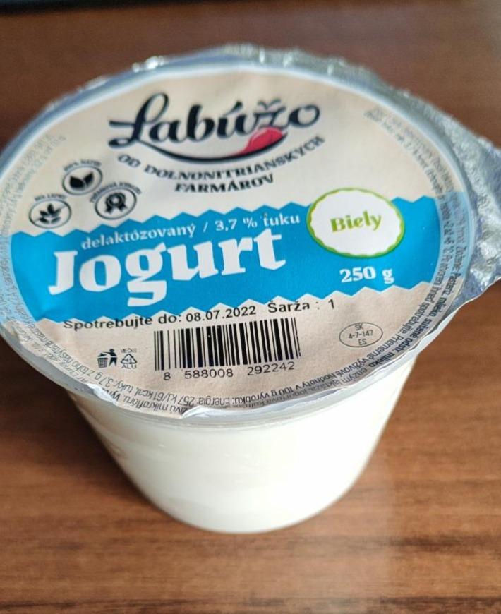 Fotografie - Jogurt Biely 3,7 % tuku Labúžo