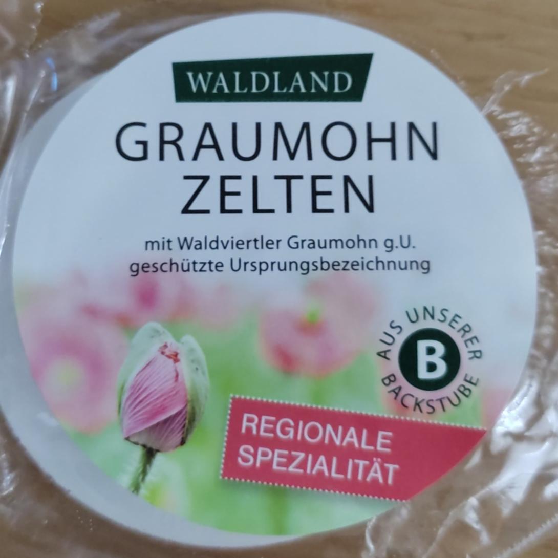 Fotografie - Graumohn zelten Waldland