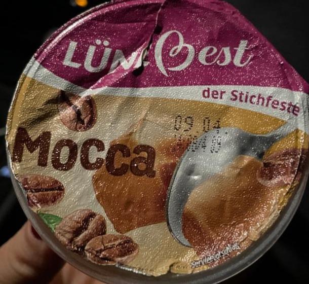 Fotografie - Mocca Lünebest