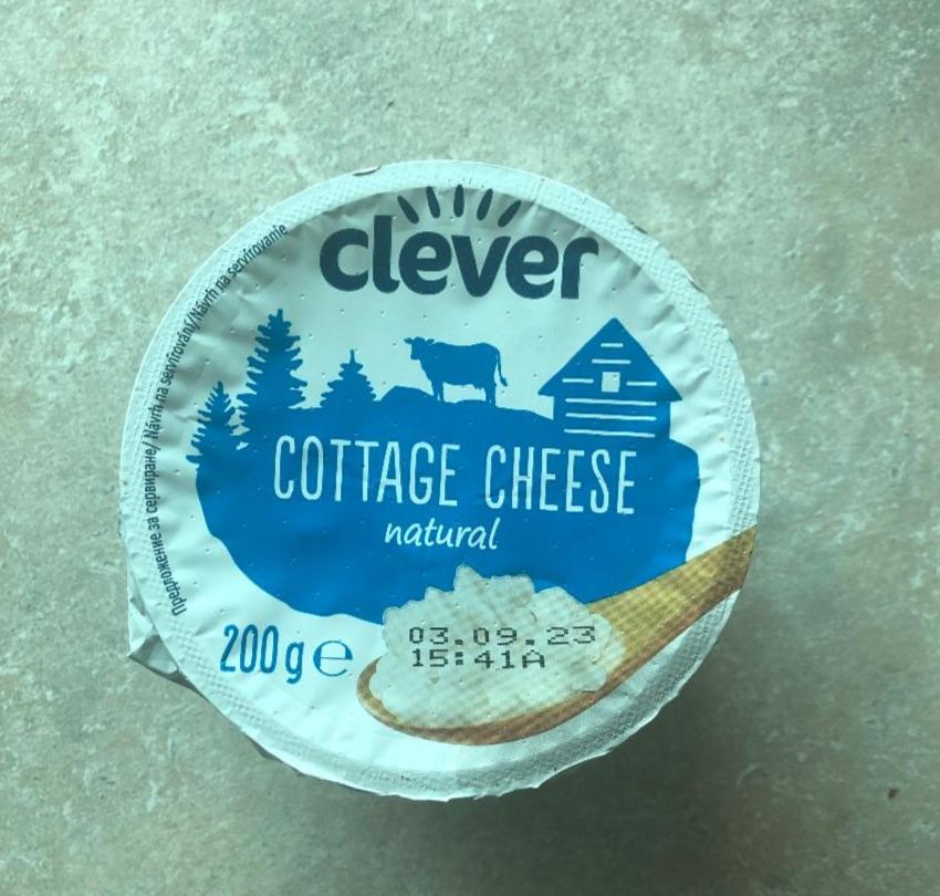 Fotografie - Cottage Cheese Natural Clever