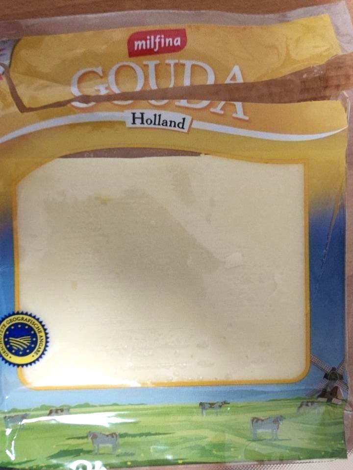 Fotografie - Gouda Holland bez laktózy Milfina