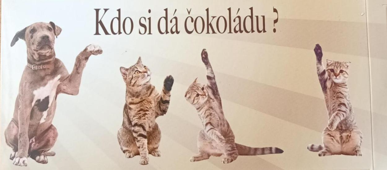 Fotografie - Kdo si dá čokoládu? Mléčná čokoláda