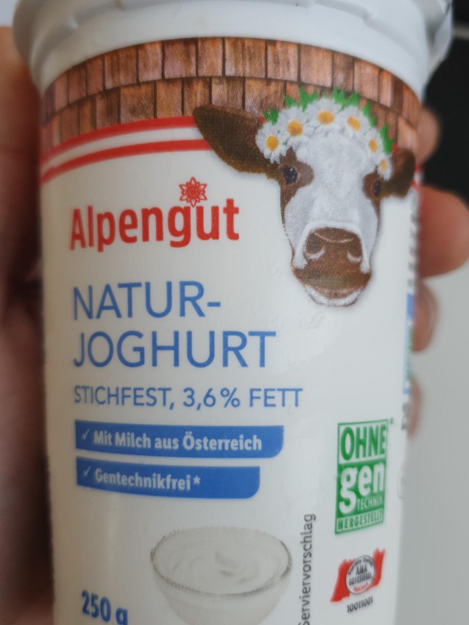 Fotografie - Alpengut Naturjoghurt