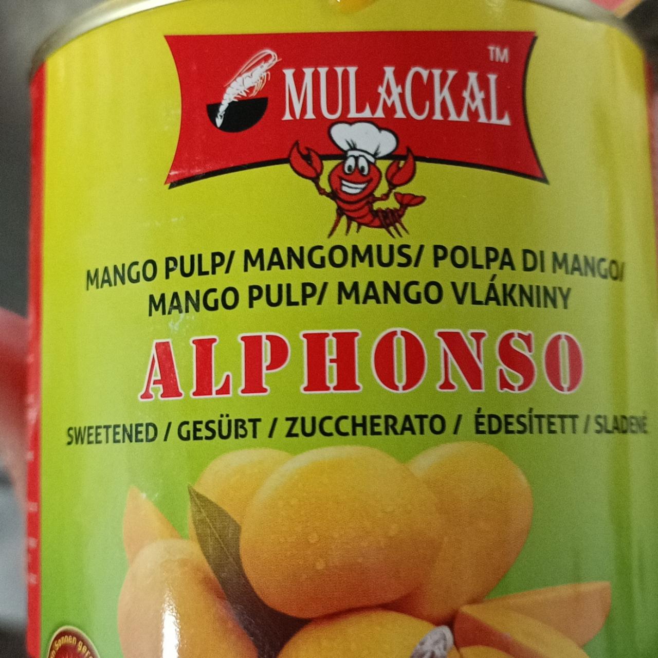 Fotografie - Alphonso Mango Pulp Mulackal