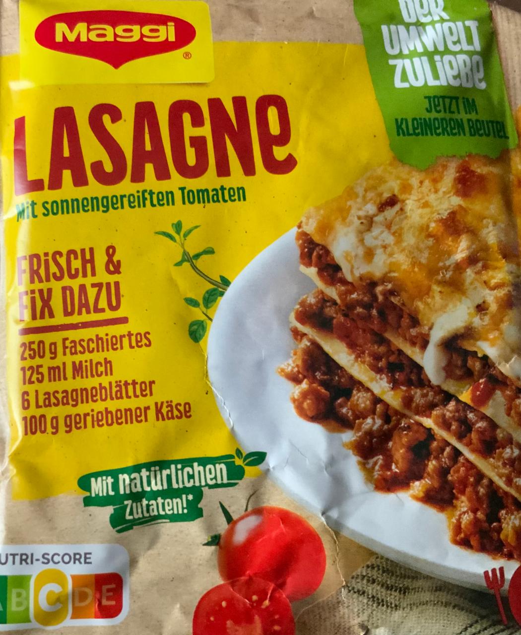 Fotografie - Lasagne Maggi