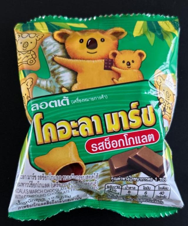 Fotografie - Koala's March Chocolate