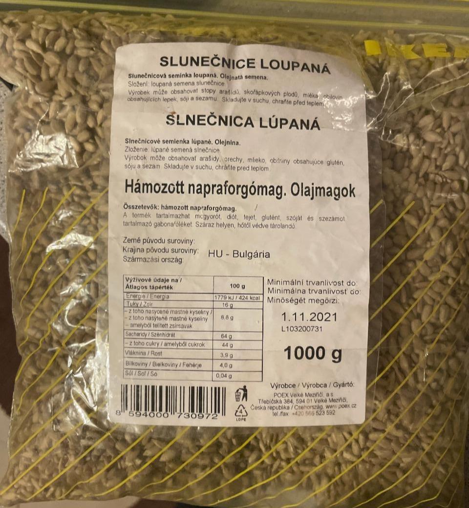 Fotografie - Slnečnica lúpaná Poex