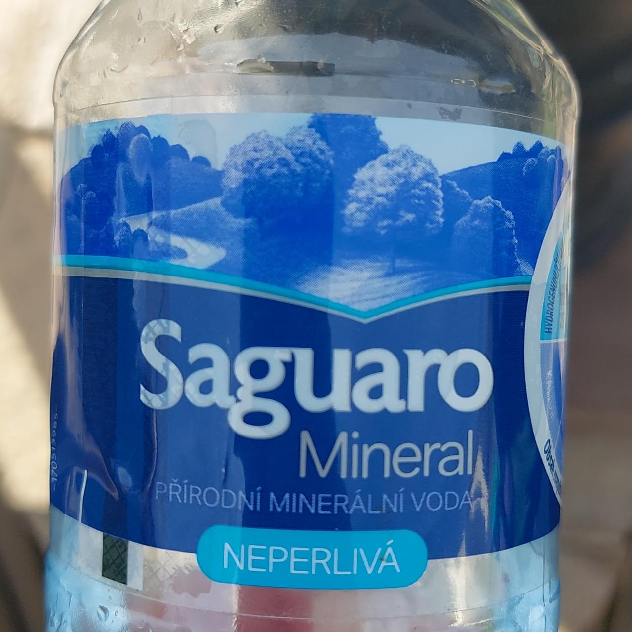 Fotografie - Saguaro mineral tichá