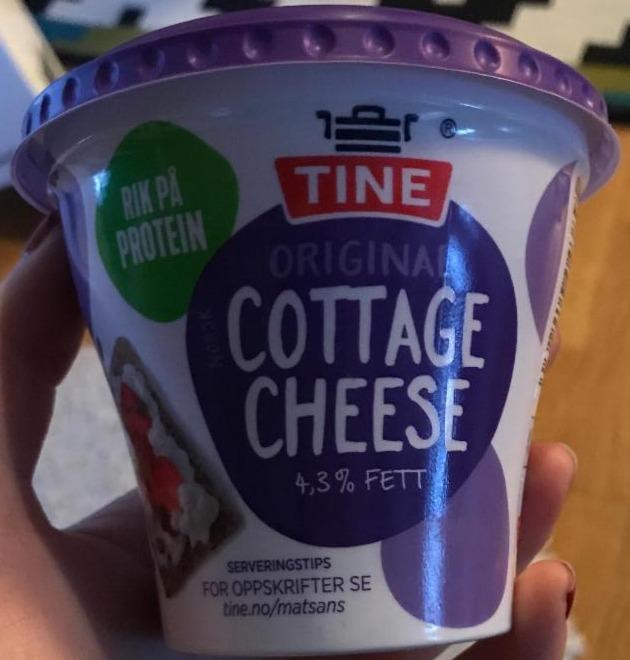 Fotografie - Cottage cheese Tine