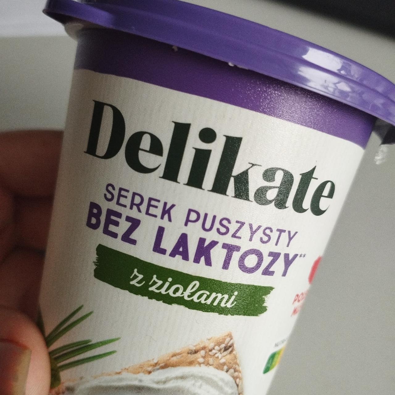 Fotografie - Serek puszysty klasyczny bez laktozy z ziołami Delikate