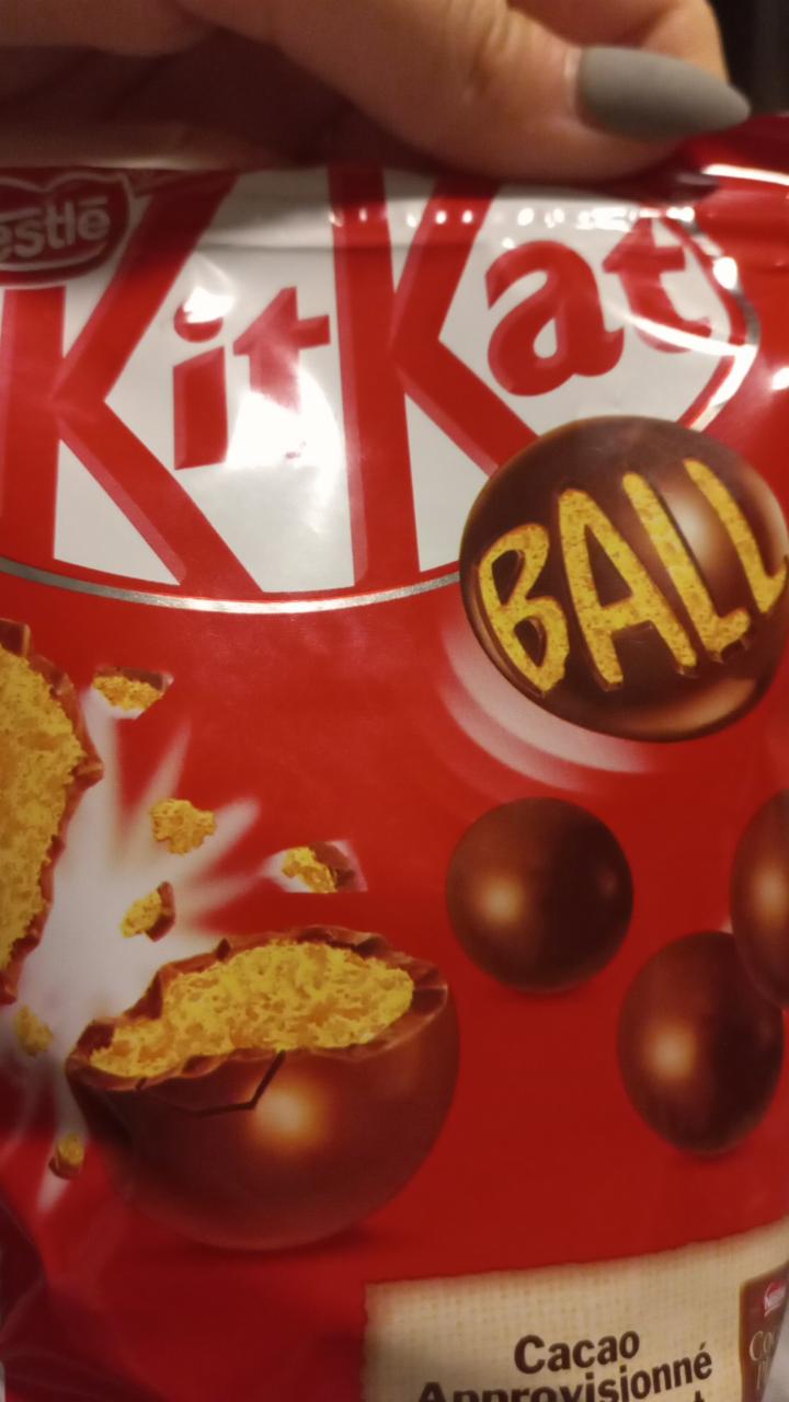 Fotografie - KitKat Ball