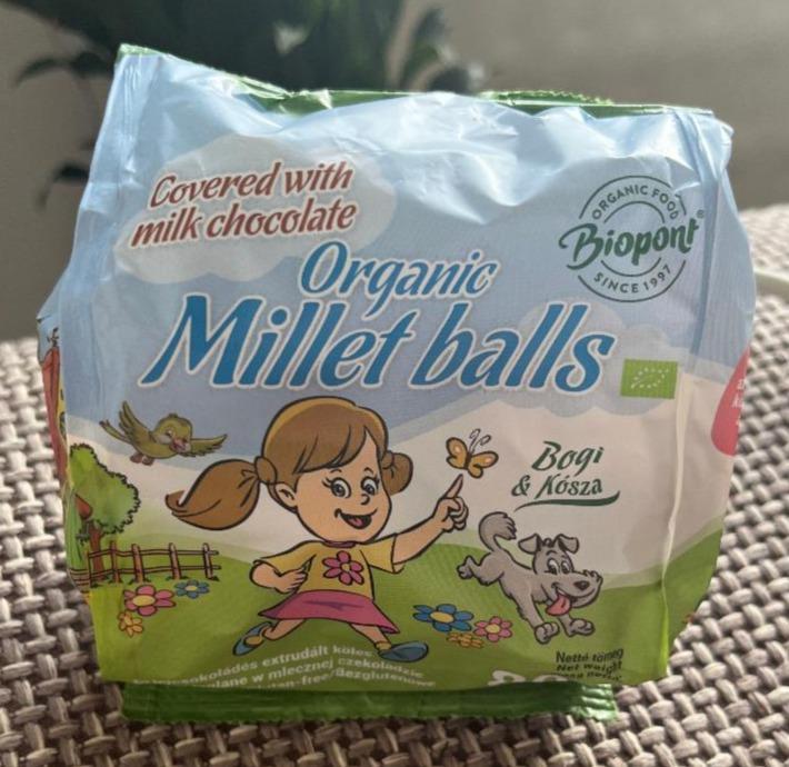 Fotografie - Organic Millet balls Biopont