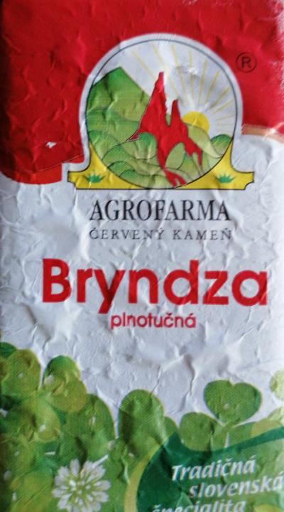 Fotografie - Bryndza plnotučná AgroFarma