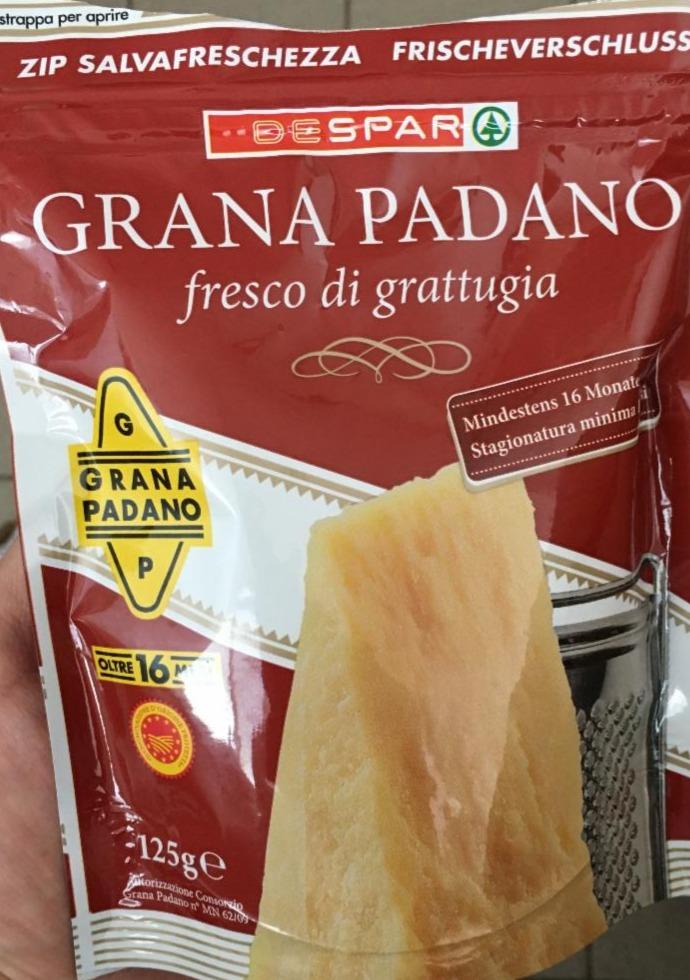 Fotografie - Grana Padano Spar