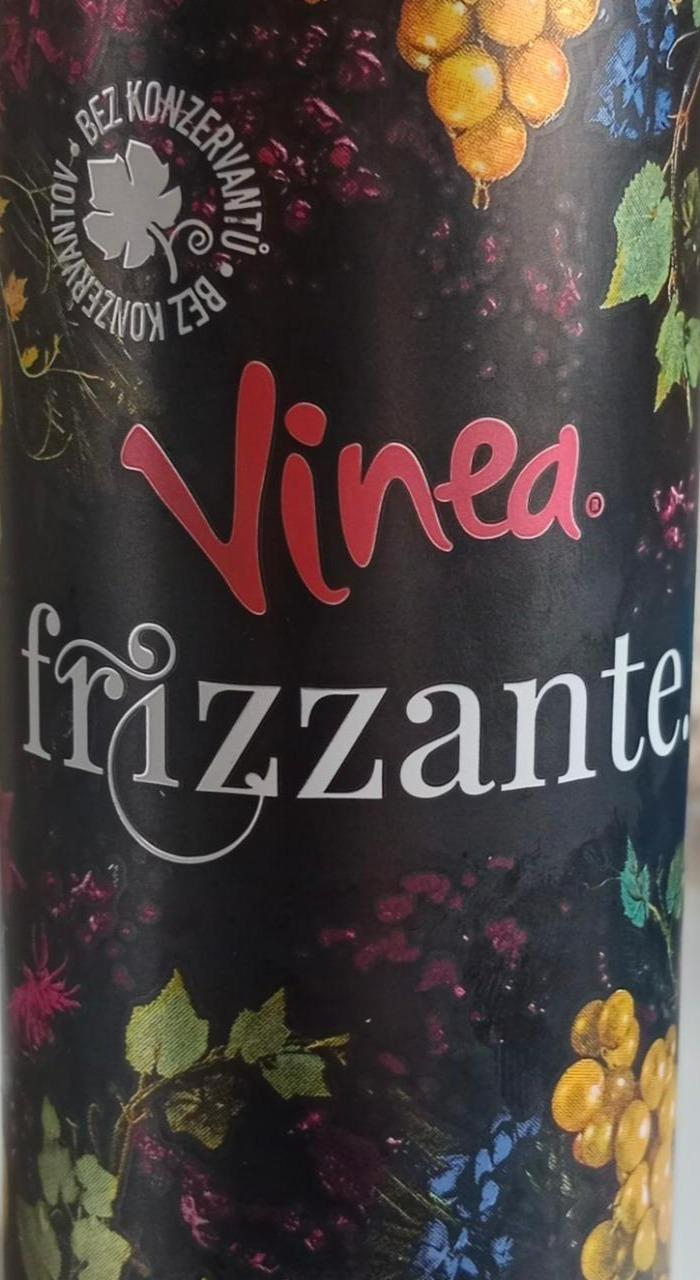 Fotografie - Vinea Frizzante