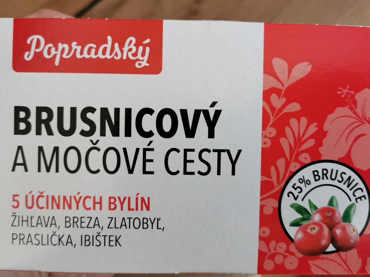 Fotografie - Popradský brusnicový a močové cesty