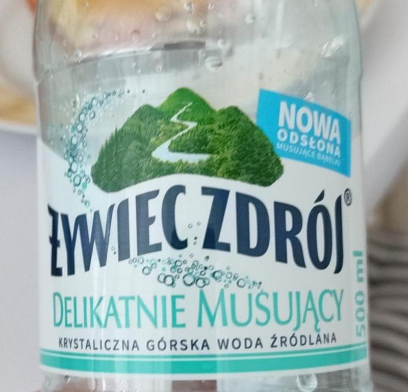 Fotografie - Zywiec zdrój Górska woda