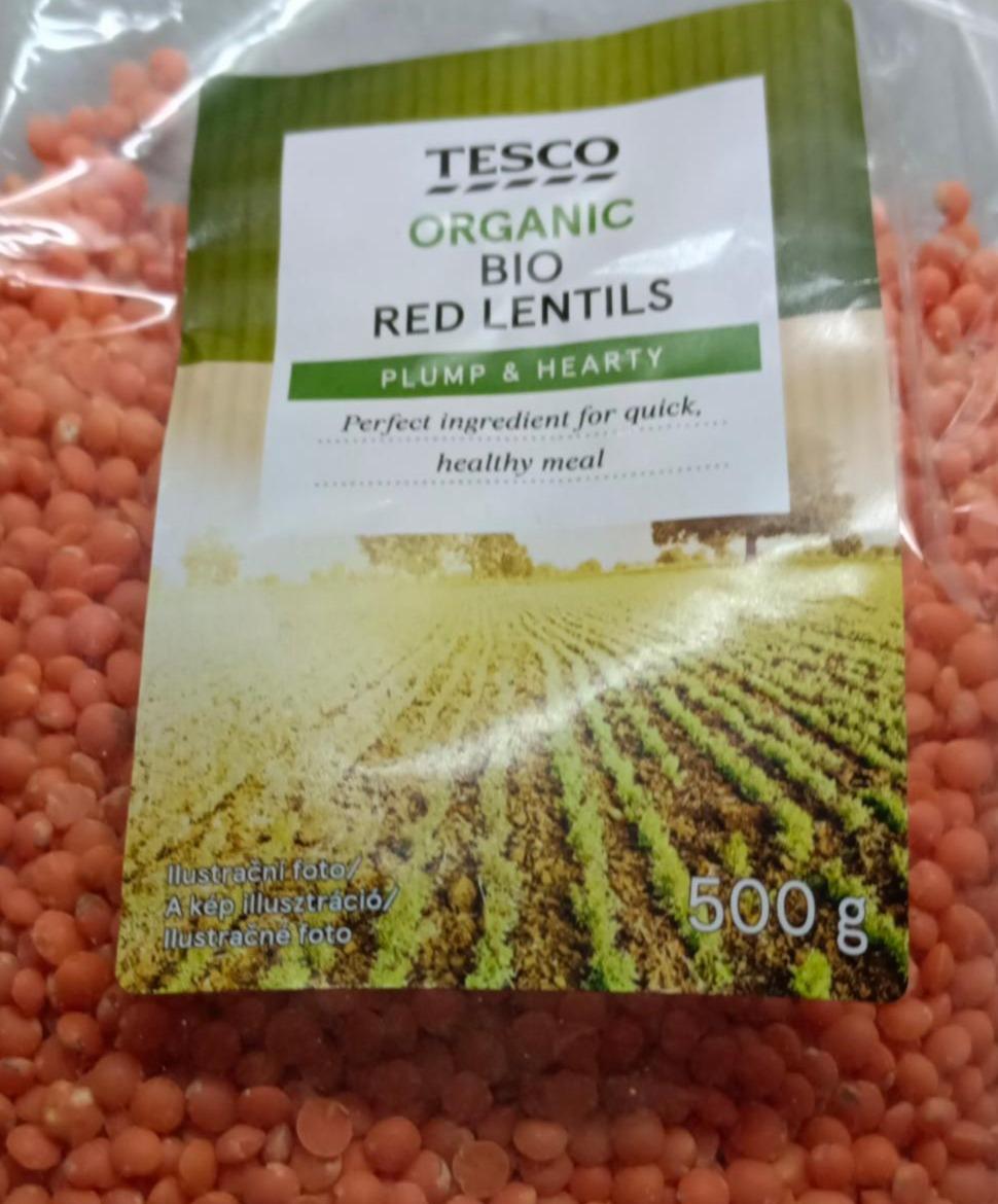 Fotografie - organic bio red lentils Tesco