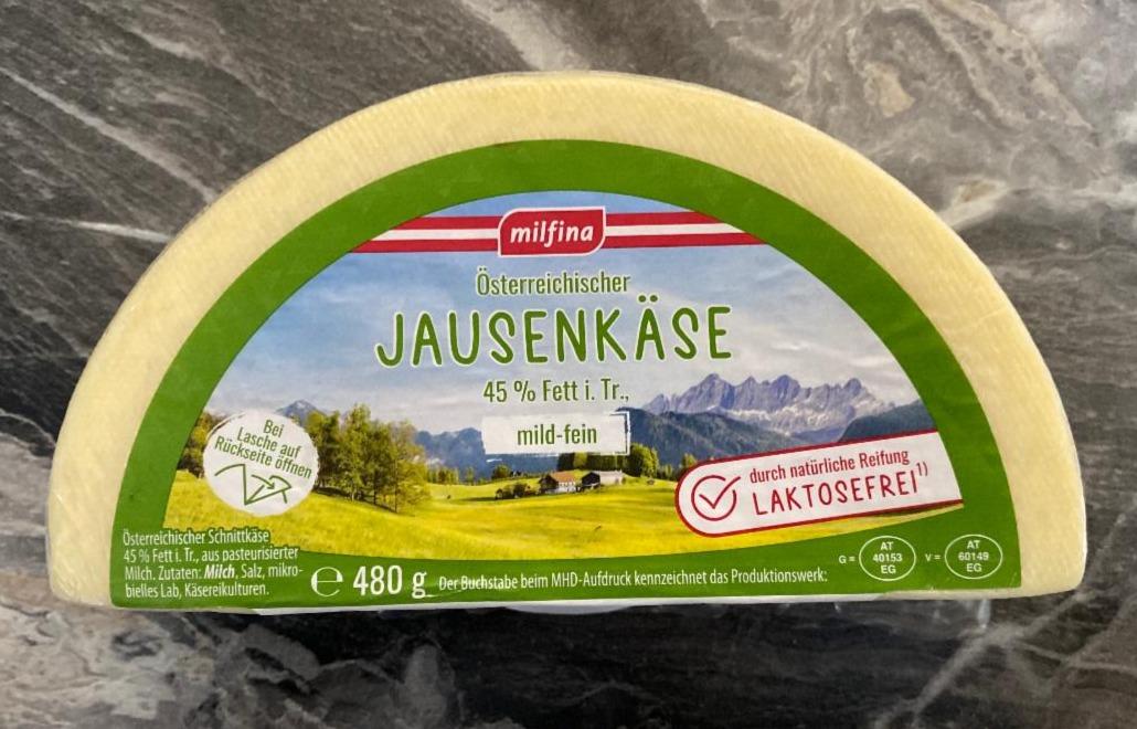 Fotografie - Jausenkäse 45% Fett Milfina