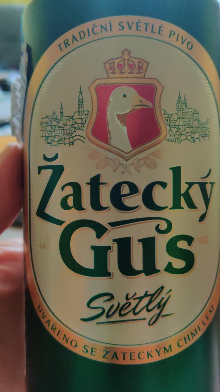 Fotografie - Žatecky Gus