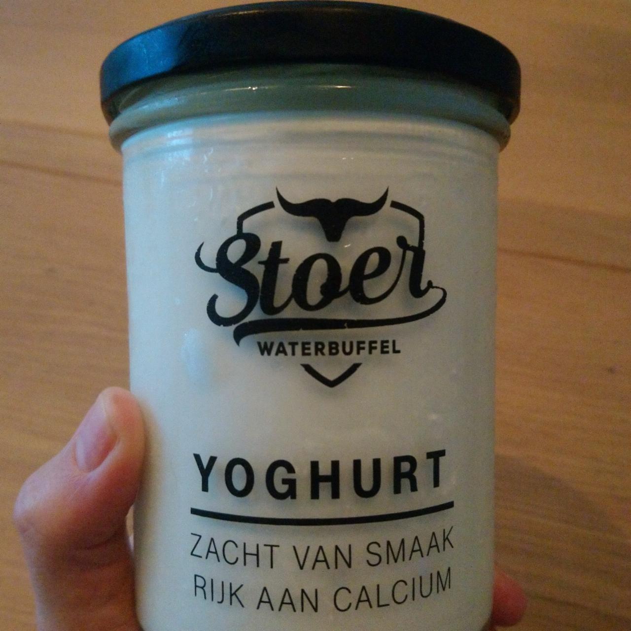 Fotografie - Yoghurt Stoer