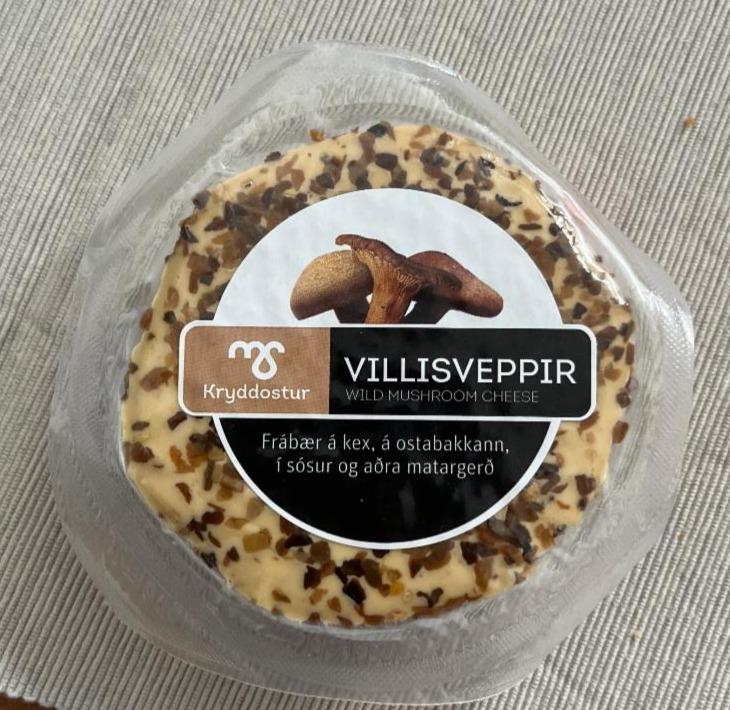 Fotografie - Villisveppir Wild mushroom cheese Kryddostur