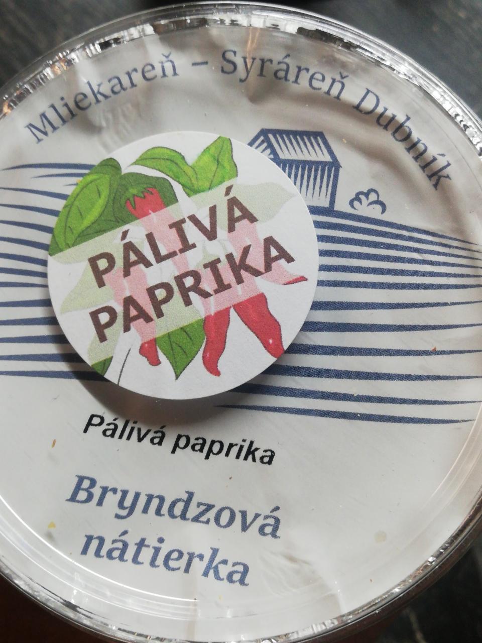 Fotografie - Bryndzová nátierka pálivá paprika 